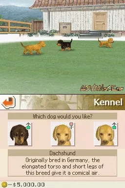 Image n° 3 - screenshots : Nintendogs - Dachshund & Friends